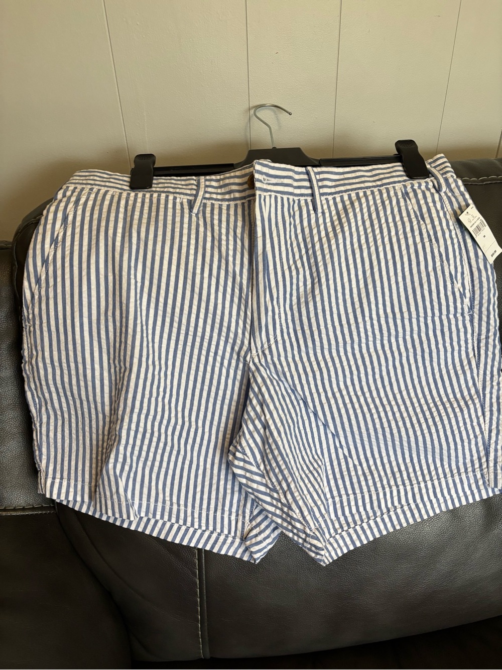 GAP Blue and White Striped Shorts